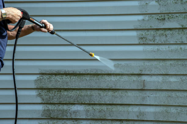 Deck Cleaning Services in Port Carbon, PA