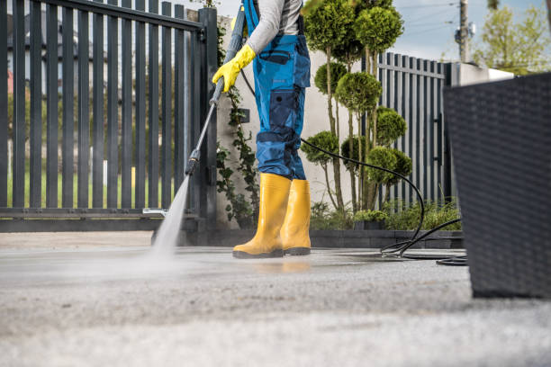 Best Roof Power Washing Services  in Port Carbon, PA