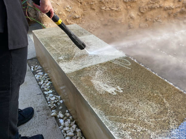 Best Roof Power Washing Services  in Port Carbon, PA